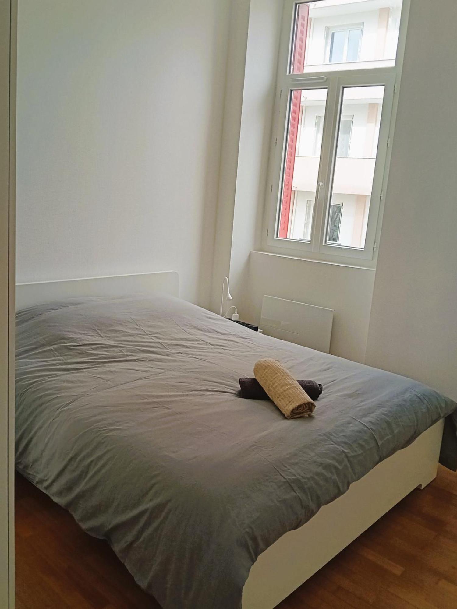 101 - Appart Renove Avec 1 Chambre Spacieuse - Tram Et Clinique Mutualiste A 1 Min Grenoble Eksteriør billede